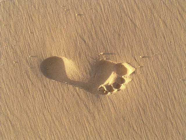 footprint-347817_640