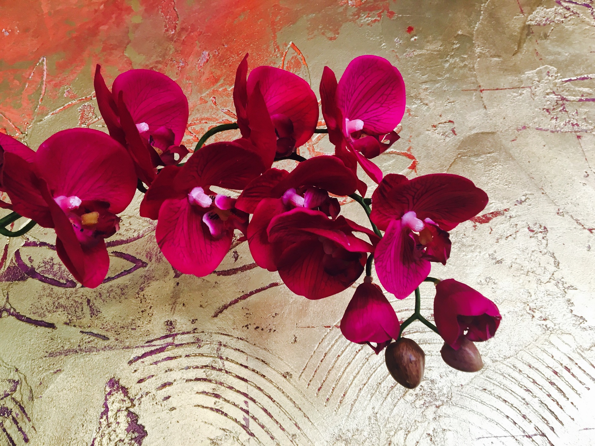 orchid-2137992_1920